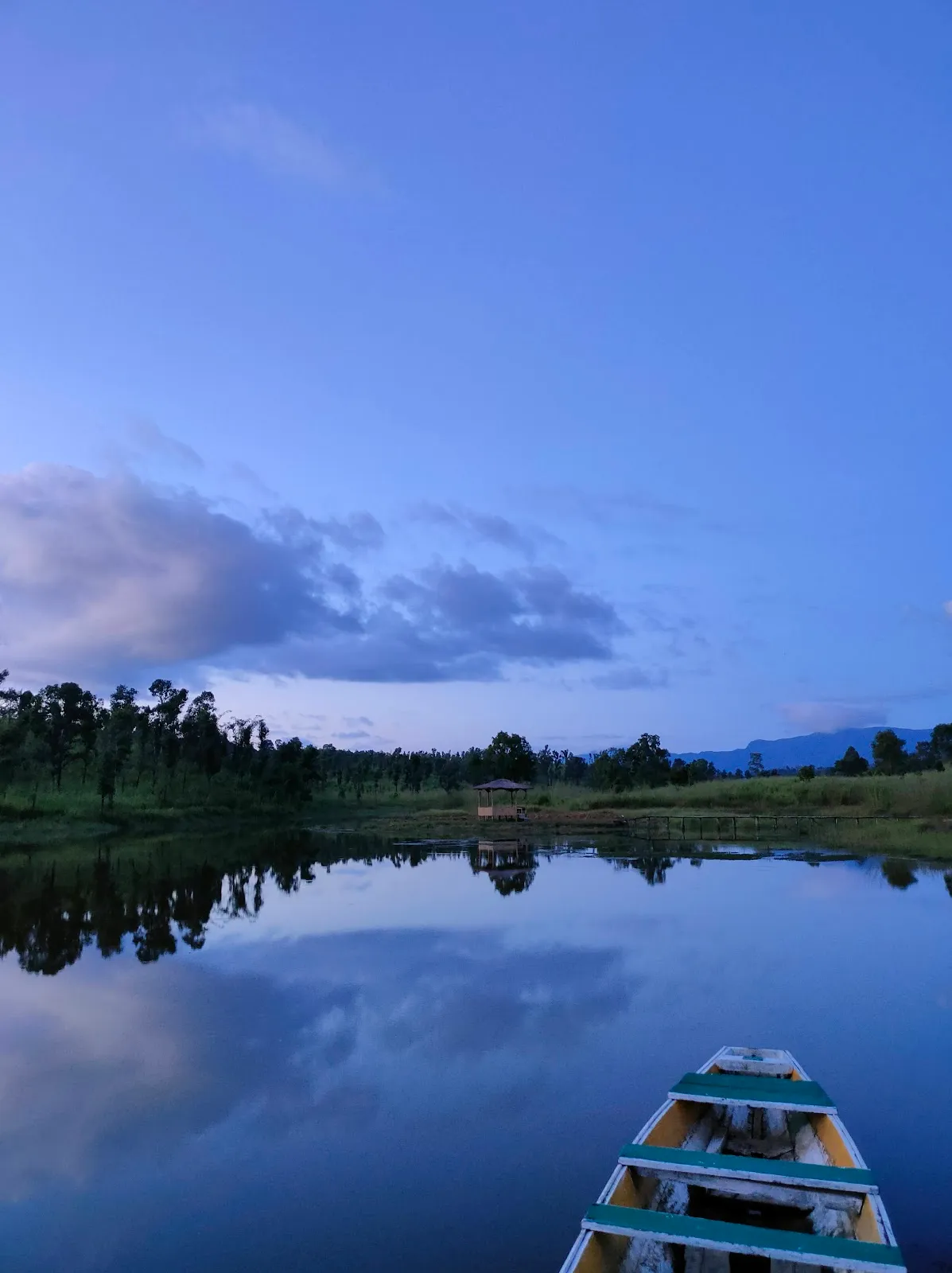 Thenzawl Vety. Dilpui - photo 2