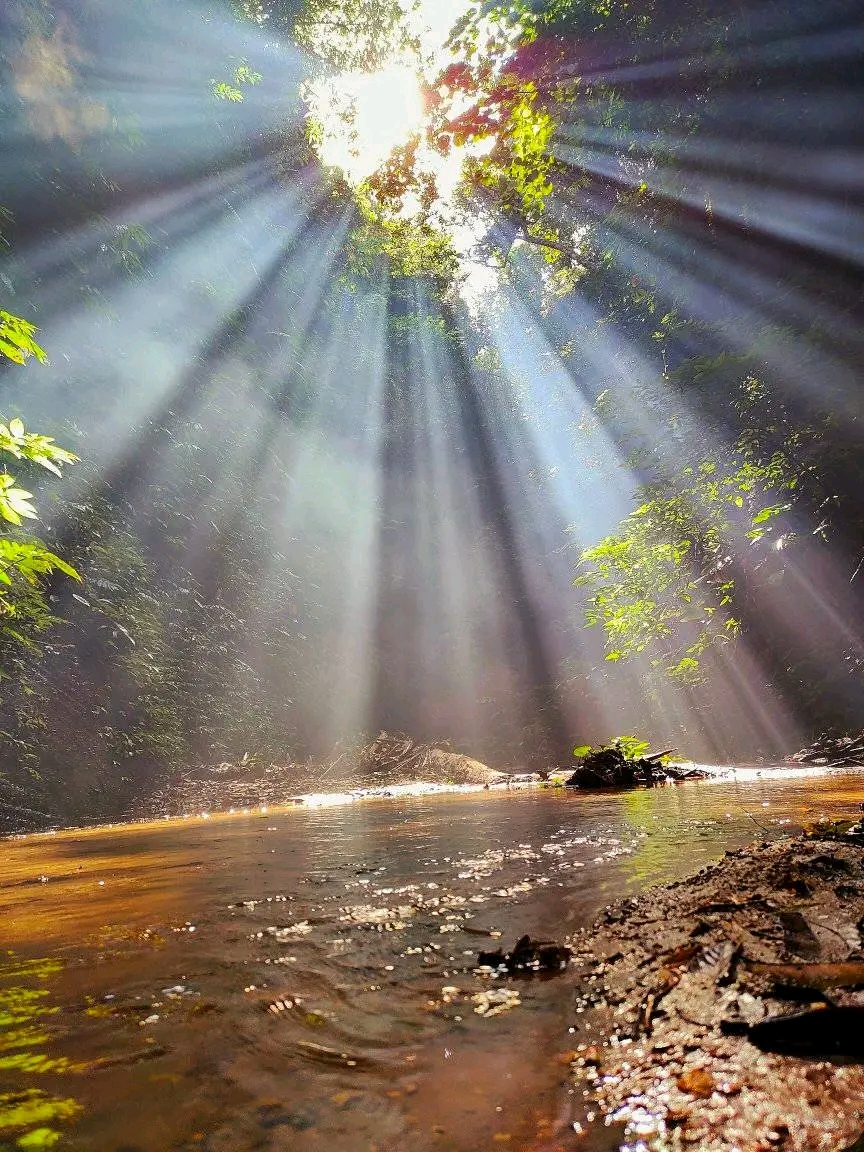 Dashori Waterfall photo 3
