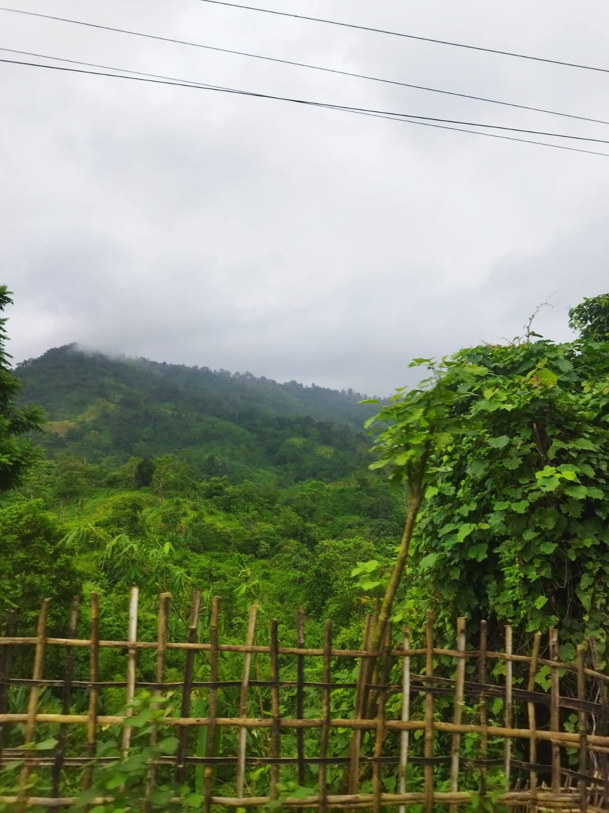 Longtharai Hill Waterfall photo 2