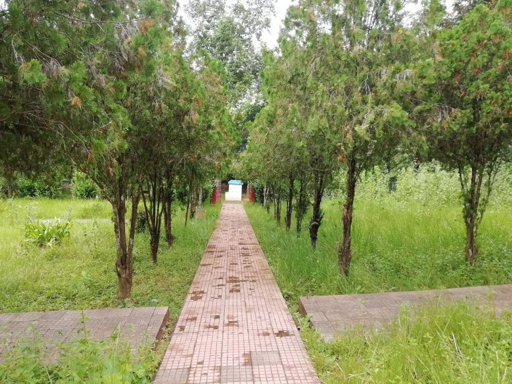 Rowa Wildlife Sanctuary