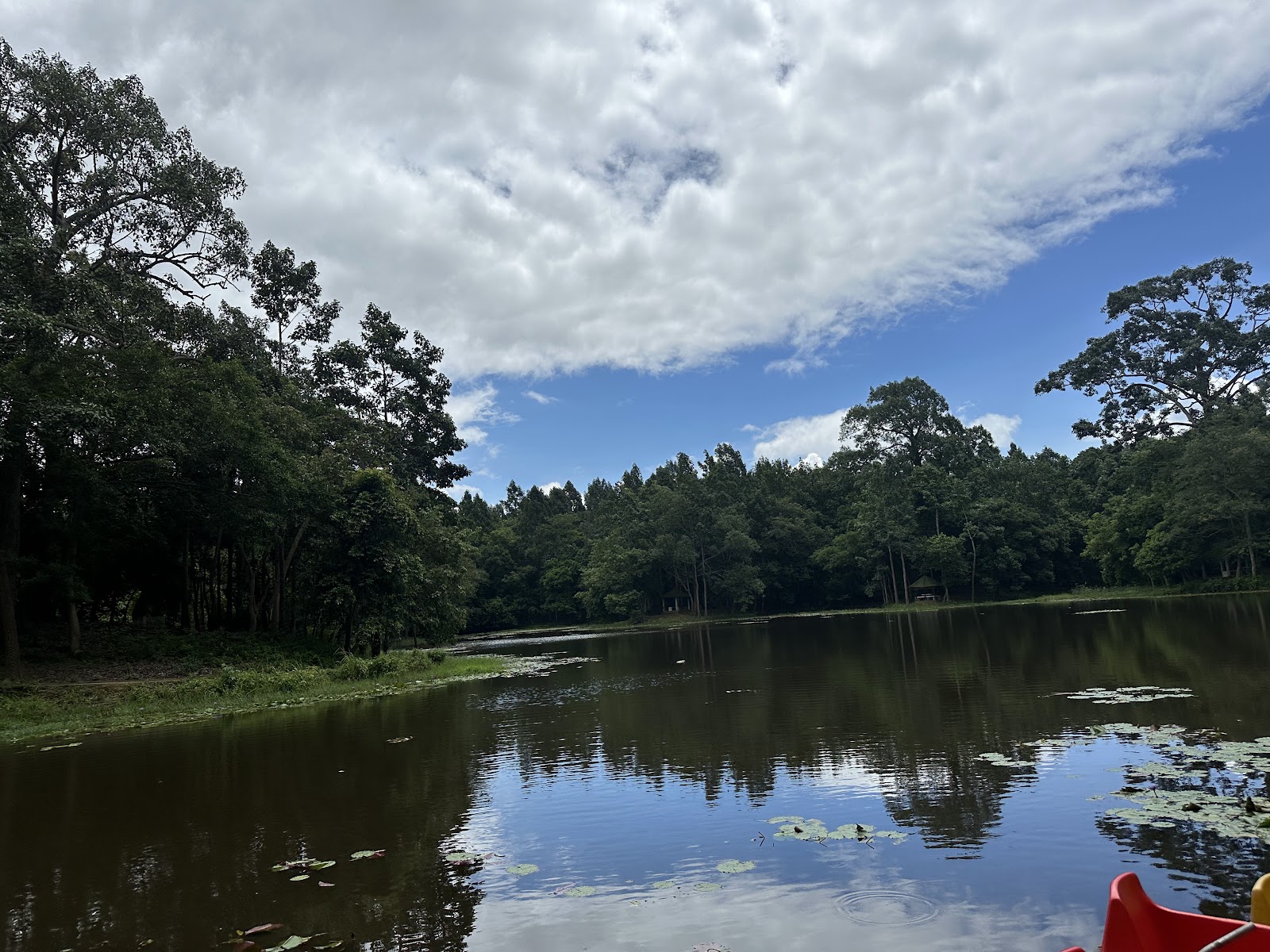 Trishna Wild Life Sanctuary photo 3