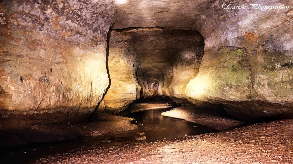 Siju Cave - photo 3
