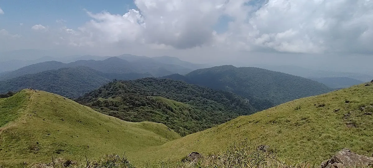Shirui Lily Peak - photo 3