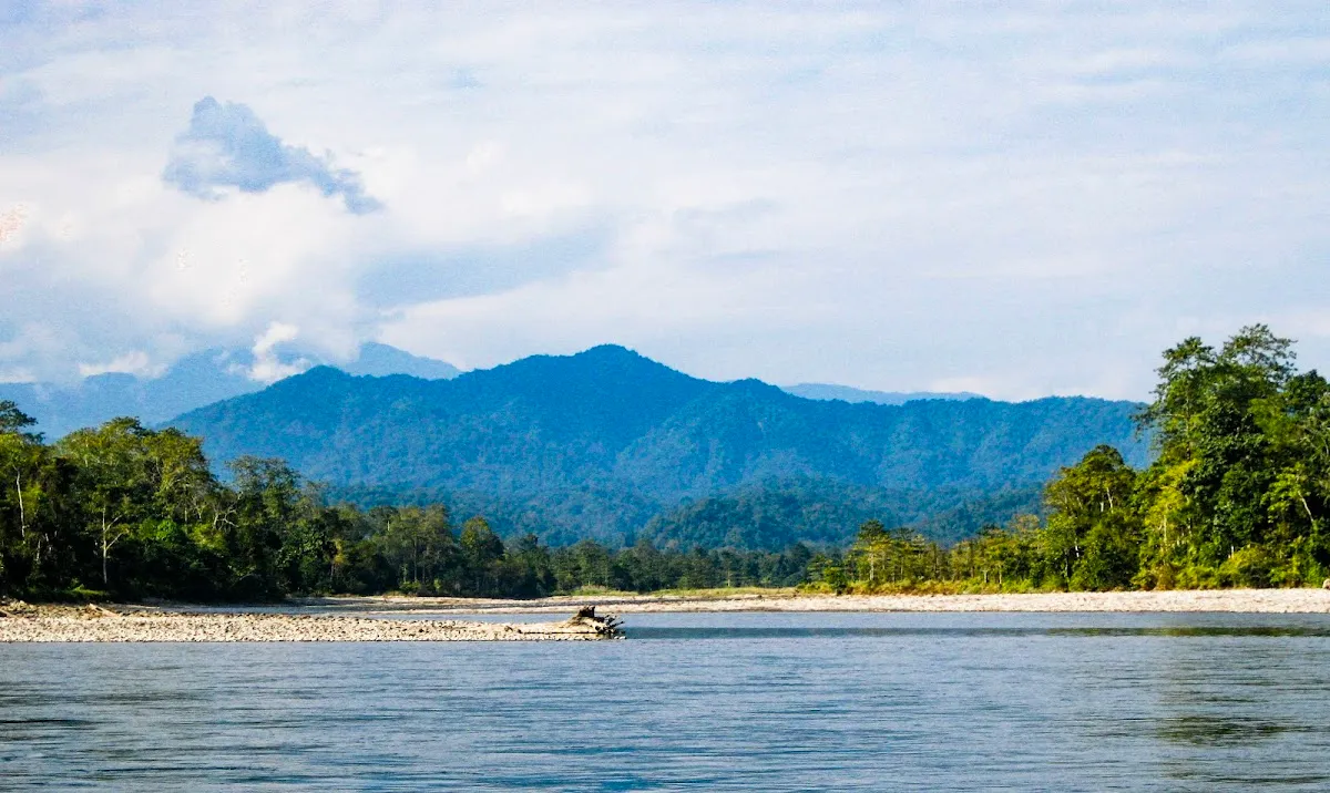 Nameri National Park And Forest Reserve - photo 3