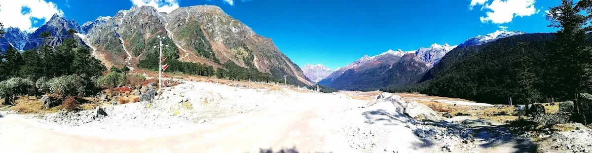 Valley of Flowers - photo 3