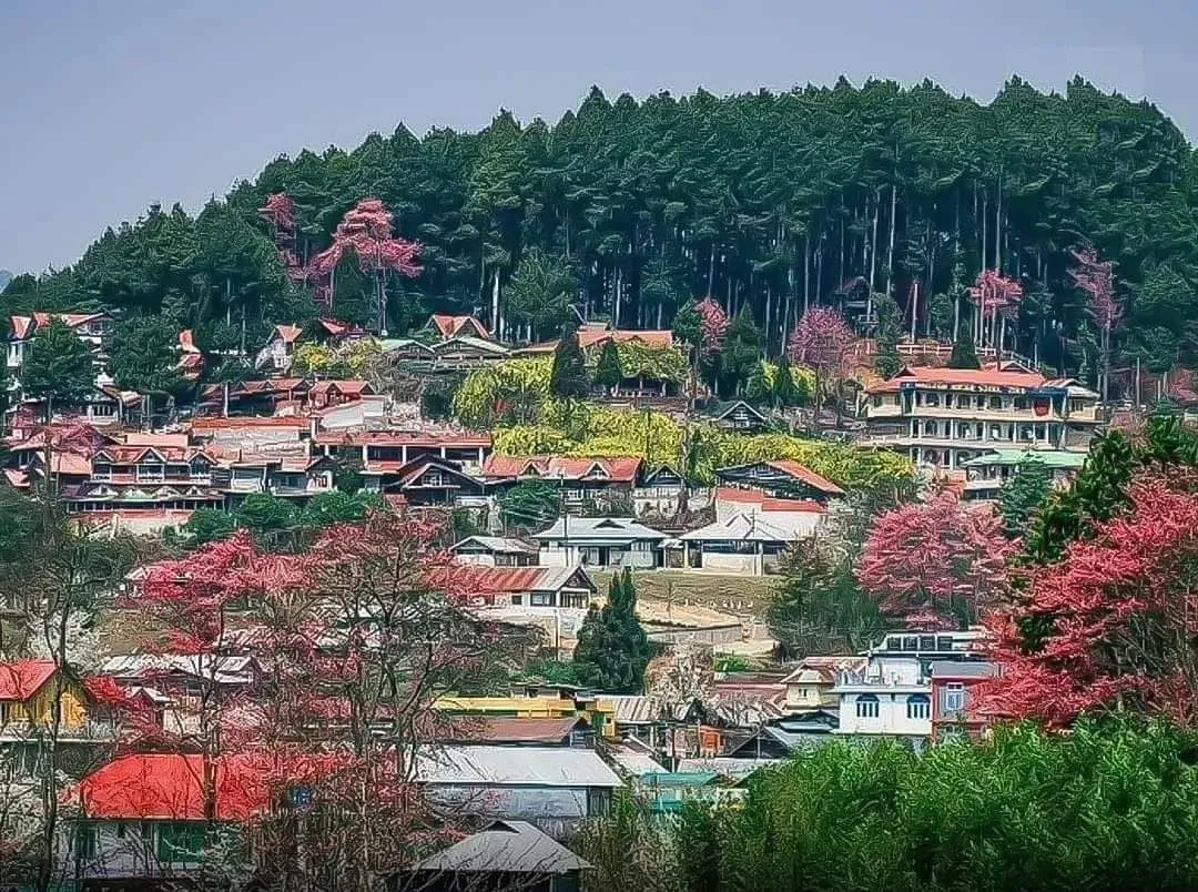 Ziro Valley - photo 3